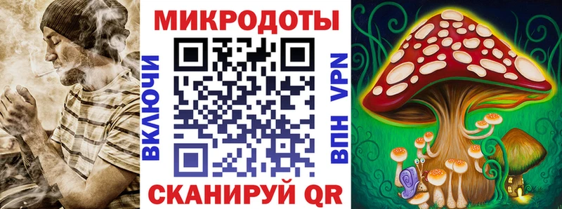 Купить закладки  Новоузенск  Галлюциногенные грибы прущие грибы 